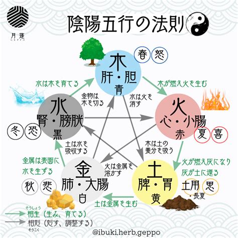 五行分類表|五行思想